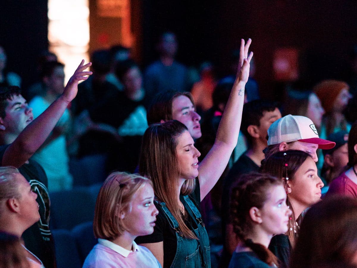 The Vault Stewardship